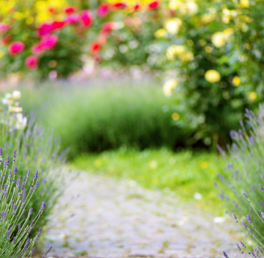 Keyinformation Desktop 03 Grappenhall