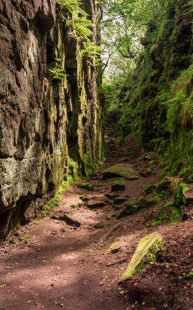 Walks in Cheshire 